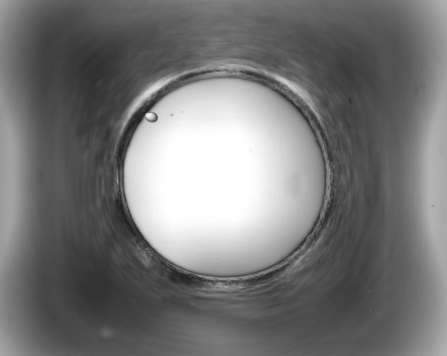 X0000086231271200703290936
