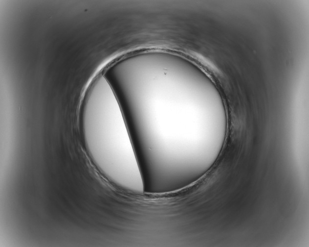 X0000086231272200703290936