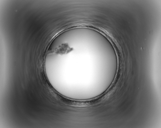 X0000086231273200703290936