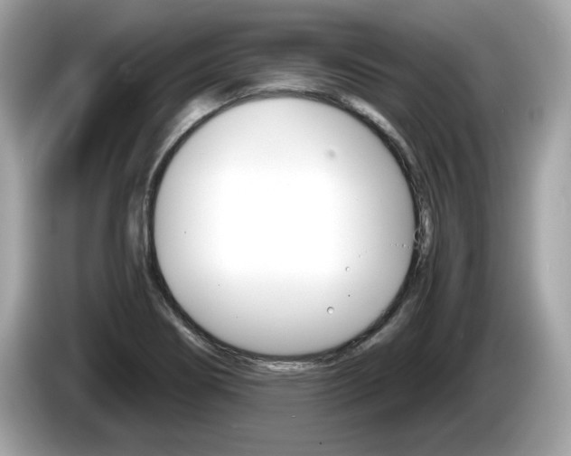 X0000086231274200703290936