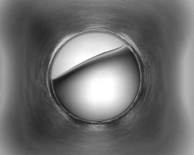 X0000086231277200703290936