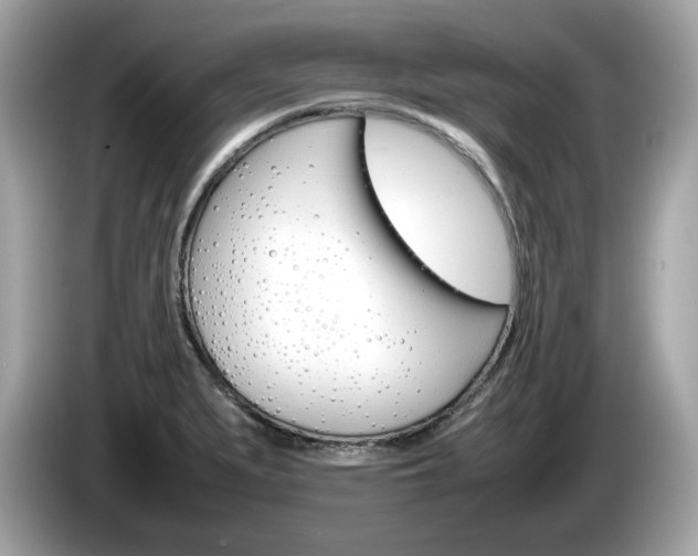 X0000086231279200703290935
