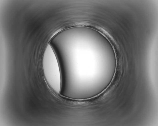 X0000086231281200703290935