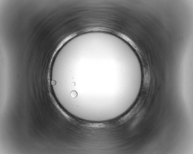 X0000086231282200703290935