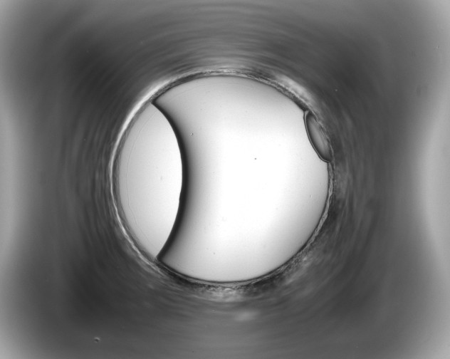 X0000086231283200703290935