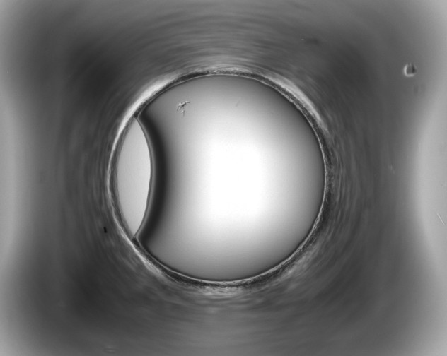 X0000086231285200703290935