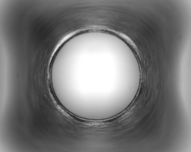 X0000086231287200703290935