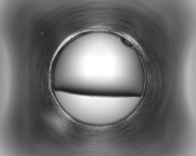 X0000086231288200703290935