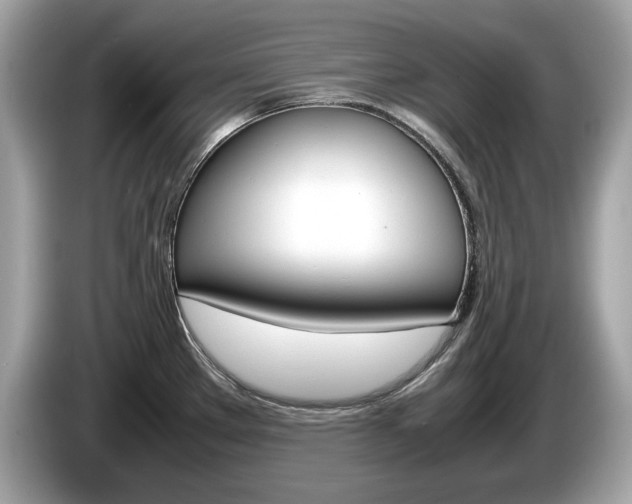 X0000086231289200703290935