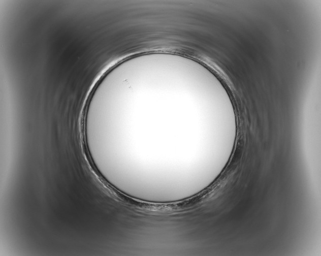 X0000086231291200703290935