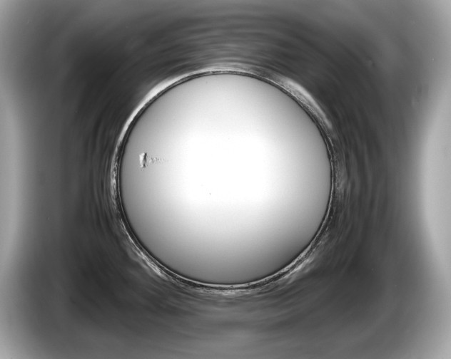 X0000086231292200703290935