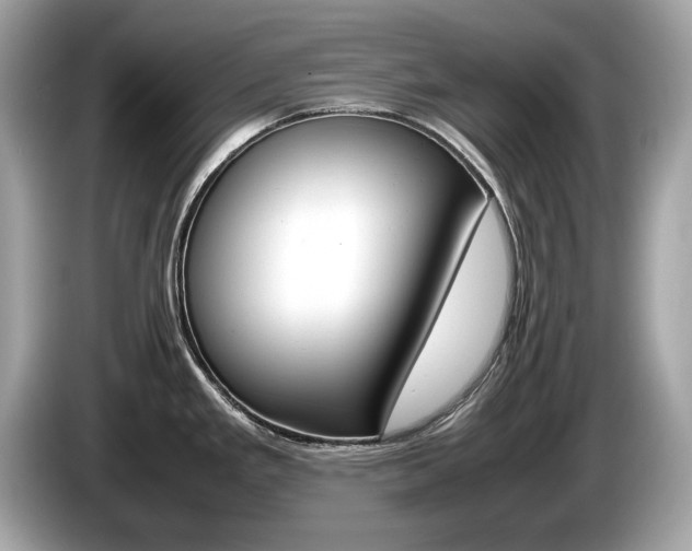 X0000086231293200703290935