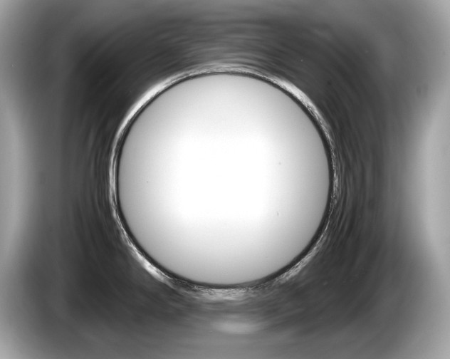 X0000086231294200703290935