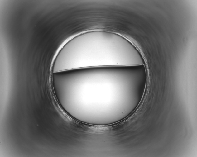 X0000086231296200703290935
