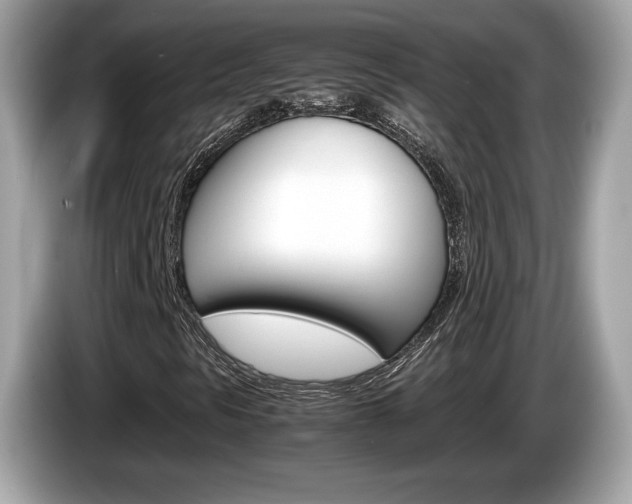 X0000086231297200703290935