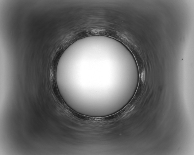 X0000086231299200703290935