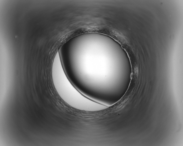 X0000086231300200703290935
