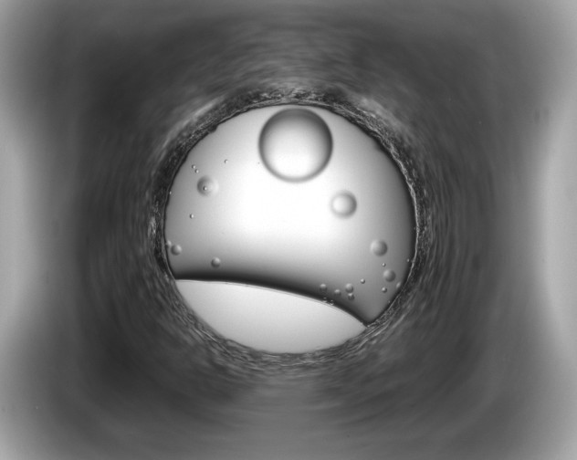 X0000086231302200703290935