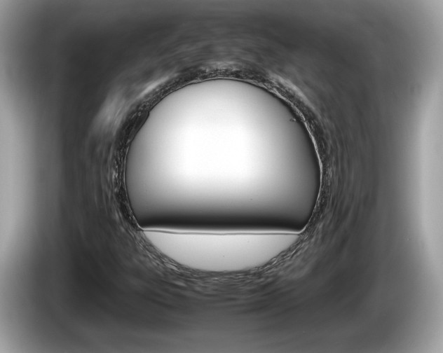 X0000086231303200703290935