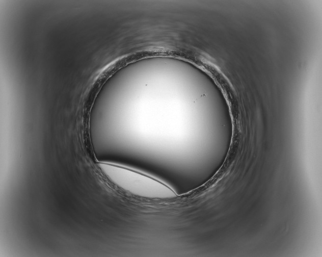 X0000086231304200703290935