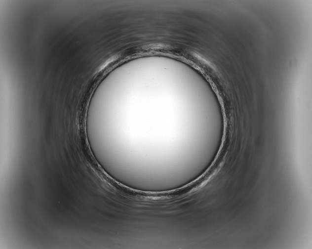 X0000086231305200703290935
