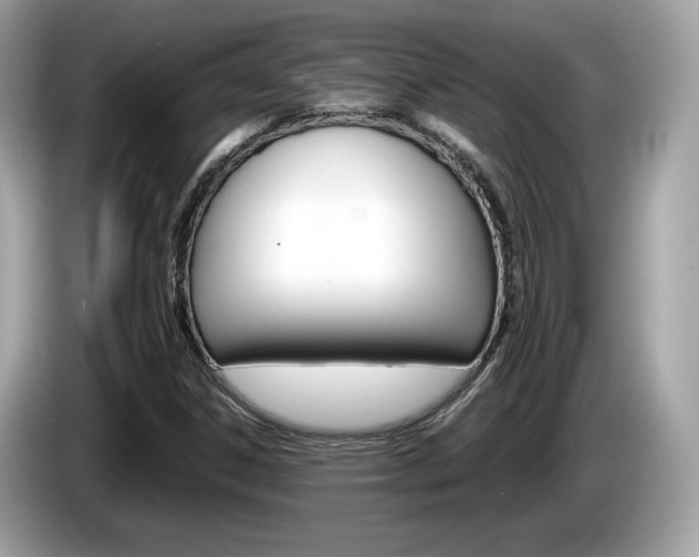 X0000086231306200703290935