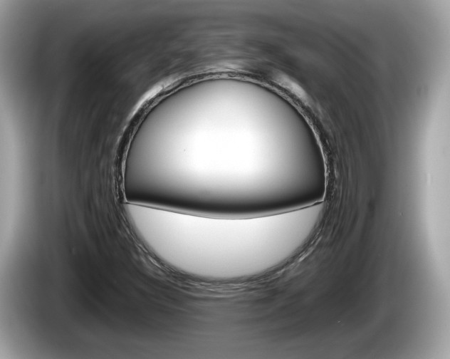 X0000086231308200703290935