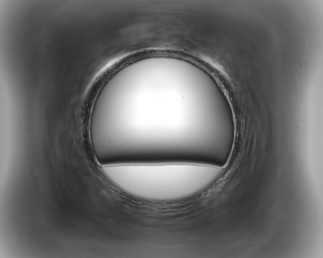 X0000086231311200703290935