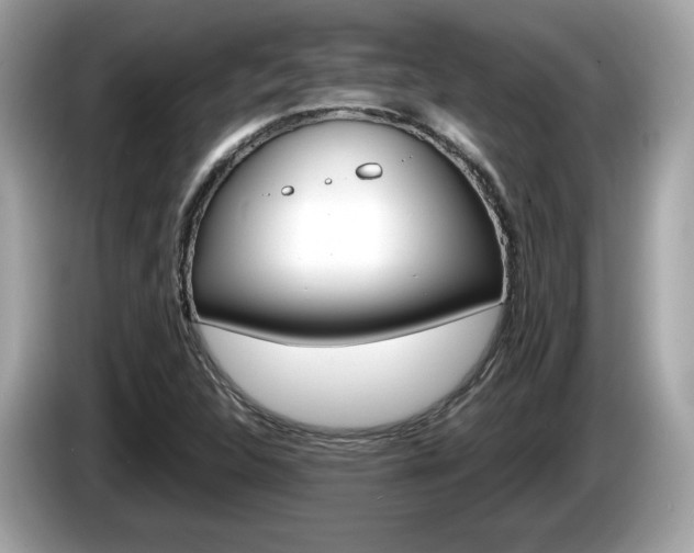 X0000086231312200703290935