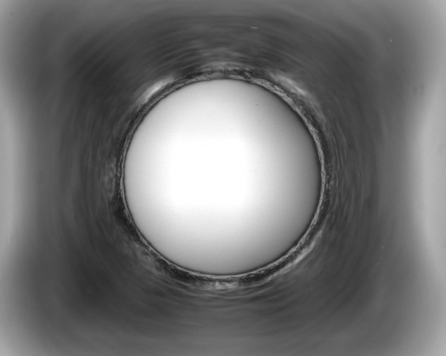 X0000086231313200703290935