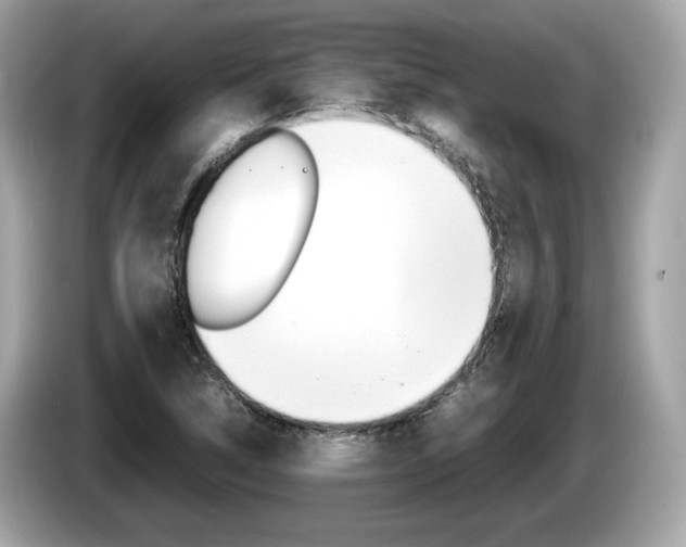 X0000086231314200703290935