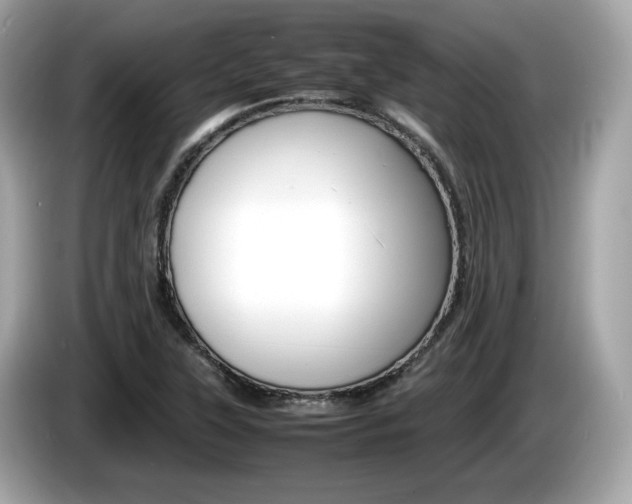 X0000086231315200703290935