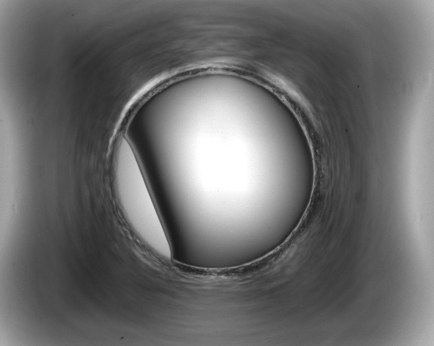 X0000086231316200703290935