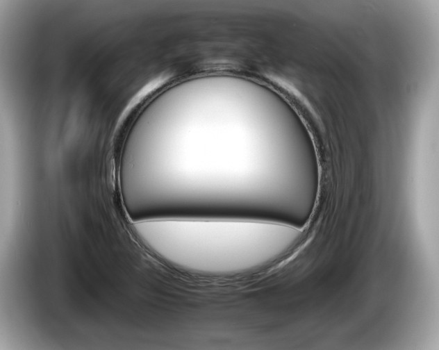 X0000086231317200703290935