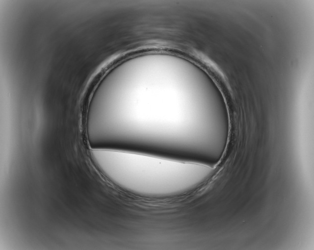 X0000086231318200703290935