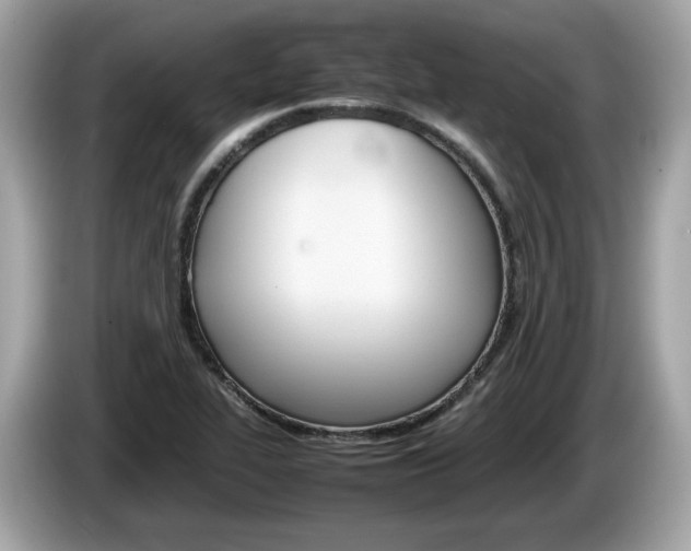 X0000086231319200703290935