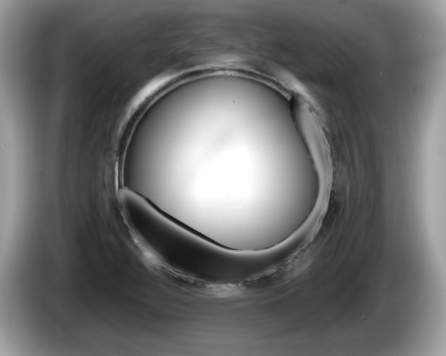 X0000086231320200703290935