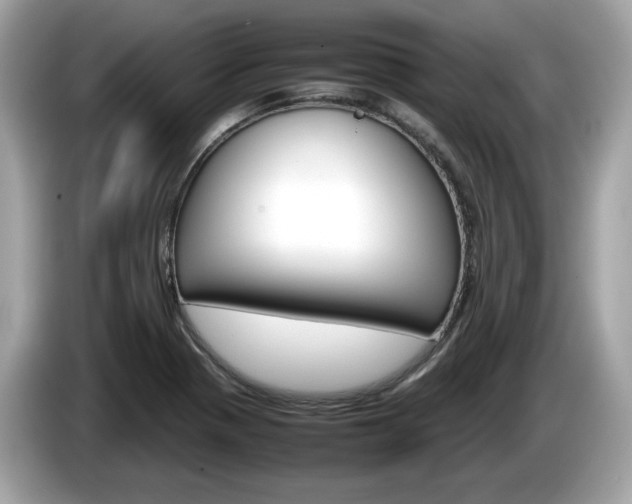 X0000086231321200703290935