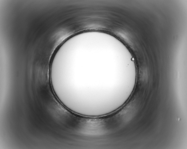 X0000086231322200703290935