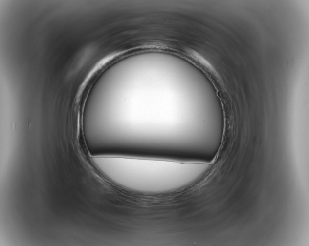 X0000086231323200703290935