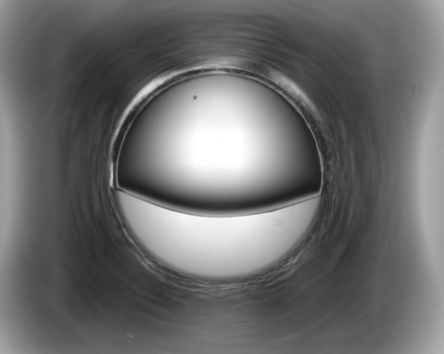 X0000086231324200703290935