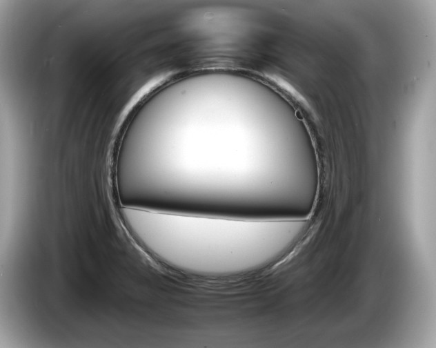 X0000086231325200703290935