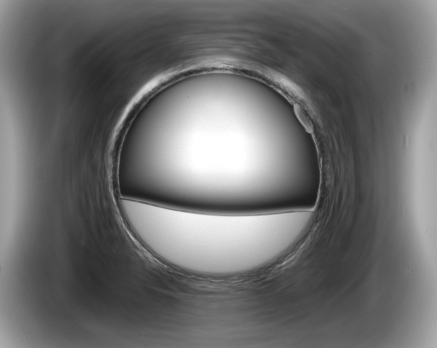 X0000086231326200703290935