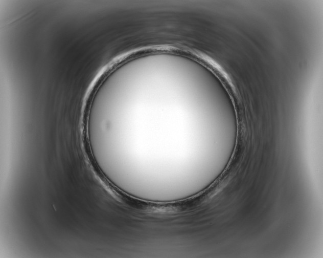 X0000086231327200703290935