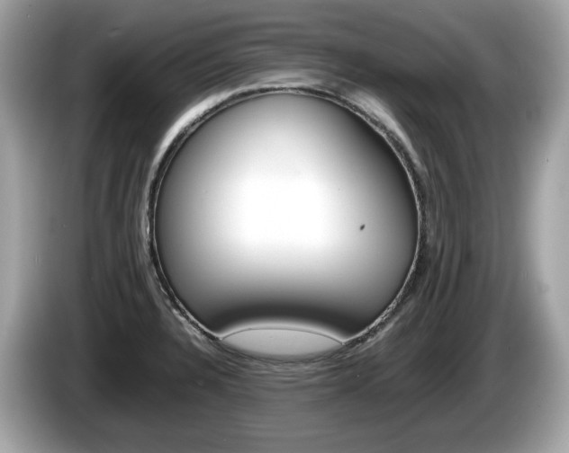 X0000086231328200703290935