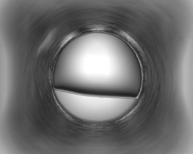 X0000086231329200703290935