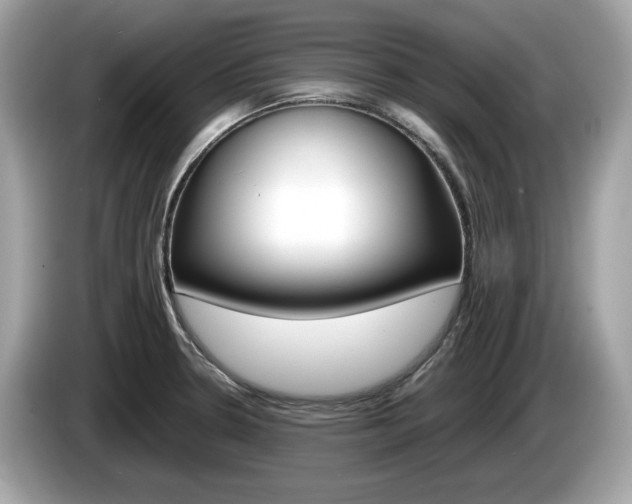 X0000086231330200703290935