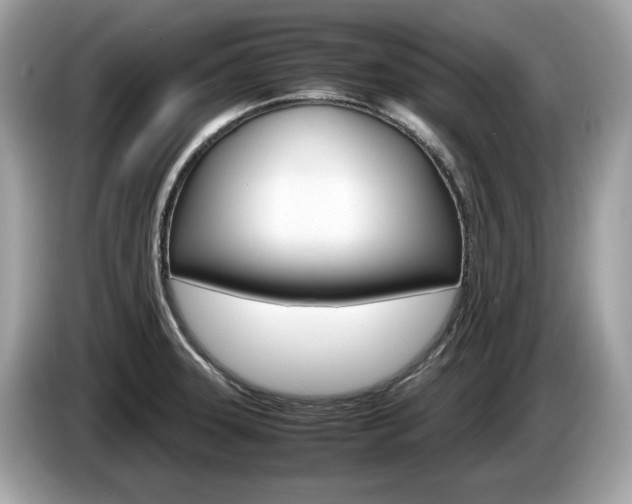 X0000086231331200703290935