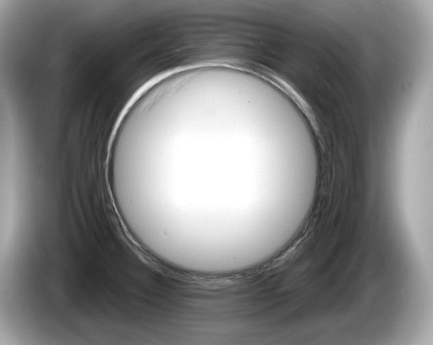 X0000086231332200703290935