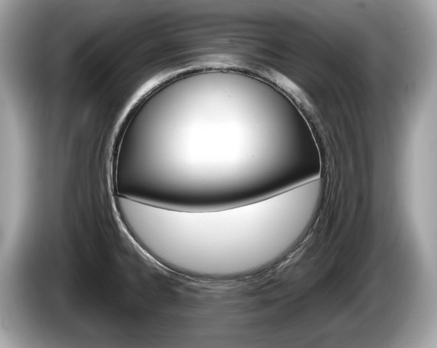 X0000086231334200703290935